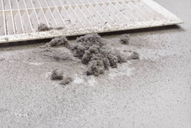Best Duct Cleaning for Homes  in Lumberton, TX