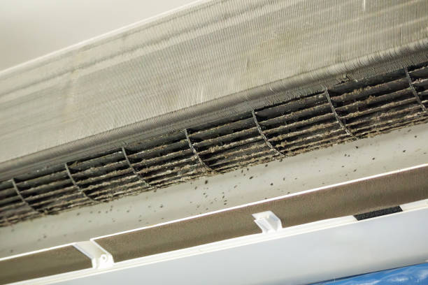 Best Ductwork Cleaning Services  in Lumberton, TX